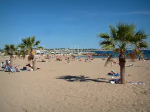 Fréjus - Fréjus-Plage : plage de sable avec des estivants et des palmiers, mer méditerranée et bateaux du port