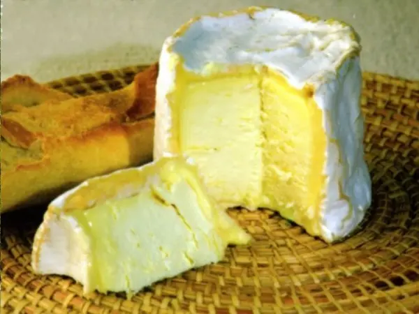 Le fromage de Chaource - Guide gastronomie, vacances & week-end dans l'Aube