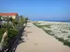 FRONTIGNAN普拉 - 散步，房子，海滨度假胜地和地中海的海滩