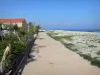 Frontignan-Plage - Promenade, maison, plage de la station balnéaire et mer méditerranée