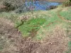 Fuentes del Loira - Una de las fuentes del Loira, a los pies del Mont Gerbier de Rush, en el Parque Natural Regional de los Monts d'Ardèche, en el municipio de Sainte-Eulalie en las montañas de Ardèche