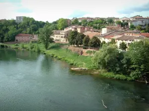 Gaillac - Fluss (Tarn), Ufer, Bäume und Häuser der Stadt