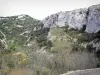 Galamus的峡谷 - 岩壁和植被