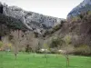 Galamus的峡谷 - 岩壁俯瞰着草地点缀着树木