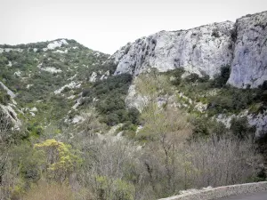 Galamus gorges - Rock walls and vegetation