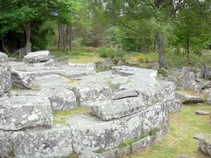 Gallo-Roman remains of Les Cars - Funerary complex surrounded by trees