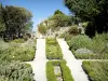 La Garde-Adhémar - Medicinal and aromatic plants from the herb garden
