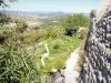 La Garde-Adhémar - View of the herb garden