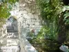 La Garde-Adhémar - Fuente de agua y escalera de piedra en el Jardin des Herbes