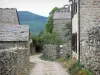 La Garde-Guérin - Ruelle fleurie bordée de maisons en pierre