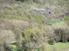 Gargantas del Allier - Paisaje salvaje y verde