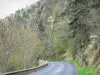 Gargantas del Allier - Camino del desfiladero bordeado de árboles