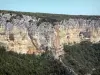 Gargantas del Ardèche - Piedra caliza acantilados y barrancos de vegetación