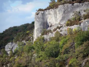 Gargantas del Aveyron - Piedra caliza acantilado (pared de roca), árboles y arbustos