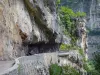 Gargantas de Bourne - Parque Natural Regional dos Vercors: estrada e penhascos corbelled (faces da rocha) sobre o Bourne