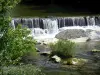 Gargantas del Bourne - Parque Natural Regional de Vercors: Río Bourne y arbustos