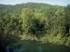 Gargantas del Cèze - Los árboles a lo largo del río Cèze