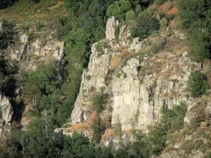 Gargantas del Chassezac - Paredes de roca y la vegetación de las gargantas de granito, en el Parque Nacional de Cévennes