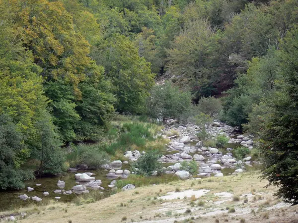 Gargantas del Dourbie - Dourbie río, rocas y árboles a la orilla del agua en la región de Cevennes