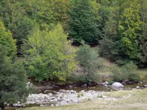 Gargantas del Dourbie - Dourbie río, las rocas y los árboles en la región de Cevennes