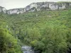 Gargantas do Dourbie - Paredes rochosas com vista para o rio Dourbie, margeado por árvores; no Parque Natural Regional de Grands Causses
