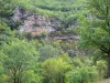 Gargantas do Dourbie - Paredes rochosas rodeadas de árvores; no Parque Natural Regional de Grands Causses