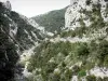 Gargantas de Galamus - Vista do rio Agly fluindo no fundo dos desfiladeiros; nos Fenouillèdes