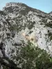 Gargantas de Galamus - Eremitério Saint-Antoine de Galamus situado no coração das falésias calcárias dos desfiladeiros