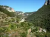 Gargantas del Jonte - Vista de las casas y las terrazas de Truel (aldea en el municipio de Saint-Pierre-des-Tripiers), y los acantilados de piedra caliza de las gargantas de la Jonte, en el Parque Nacional de Cévennes
