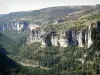 Gargantas del Jonte - Vista de los acantilados de bosque y piedra caliza (paredes rocosas) de las gargantas