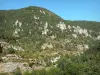 Gargantas del Jonte - Ruta gargantas, bosques, rocas y acantilados de piedra caliza