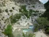 Gargantas de Méouge - Rio Méouge, rochas, árvores e rostos de rochas