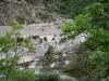 Gargantas de Méouge - Árvores, rio Méouge, estrada de desfiladeiro e rostos de rocha