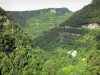 Gargantas de Nouailles - Paredes de rocha e floresta (árvores)