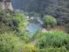 Gargantas do Orbe - Rio Orb, rochas, árvores, arbustos, flores silvestres, no Parque Natural Regional de Haut-Languedoc