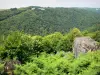 Gargantas do Vézère - Vista da paisagem arborizada e verde das Gargantas de la Vézère