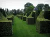 Gärten des Landsitzes von Eyrignac - Garten französischer Art (Grüner Garten)