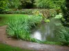 Garten Pré Catelan - Fluss, Pflanzen am Flussufer, Allee und Rasen des Parks, in
Illiers-Combray