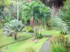 Gärten Valombreuse - Palmenhain des Blumenparks