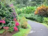 Gärten Valombreuse - Spazierweg im exotischen Garten des Blumenparks