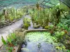 Gärten Valombreuse - Orchideen-Gewächshaus