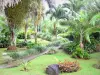 Gärten Valombreuse - Palmenhain des Blumenparks