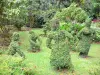 Gärten Valombreuse - Formbäumchen des Blumenparks