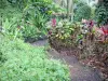 Gärten Valombreuse - Flora des Blumenparks
