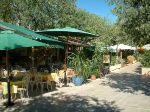 Gassin - Los árboles y las terrazas de los restaurantes en la plaza del pueblo