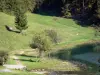 Geninmeer - Bomen en weiden aan de rand van het water in de Jura (Haut-Bugey), de gemeenschappelijke Charix, en van Echallon Oyonnax