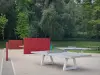 Georges-Valbon Departmental Park - Ping-pong tables in a green setting
