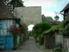 Gerberoy - Blue house and its climbing rosebush (red roses), narrow paved street, plants, flowers, shrubs and remains of the castle (Porte tower)