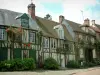 Gerberoy - Half-timbered houses with climbing rosebushes (roses) and shrubs