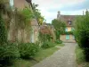 Gerberoy - Houses of the village, narrow paved street, rosebushes and shrubs